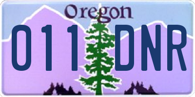 OR license plate 011DNR
