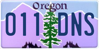 OR license plate 011DNS