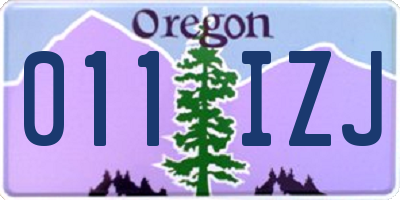 OR license plate 011IZJ