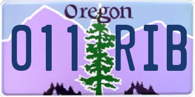 OR license plate 011RIB