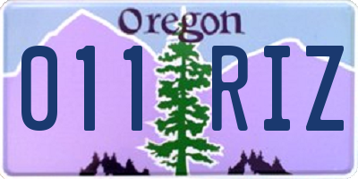 OR license plate 011RIZ
