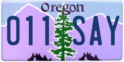 OR license plate 011SAY