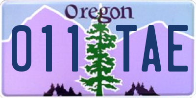 OR license plate 011TAE