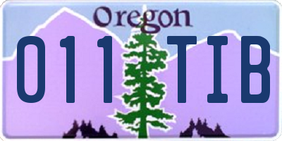 OR license plate 011TIB