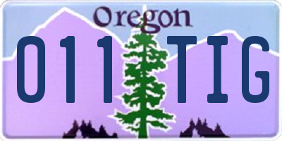 OR license plate 011TIG