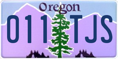OR license plate 011TJS