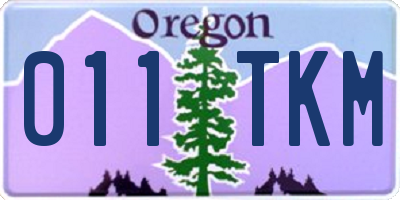 OR license plate 011TKM