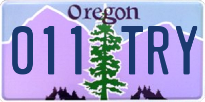 OR license plate 011TRY