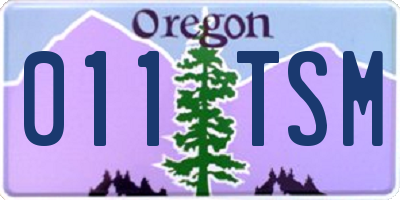 OR license plate 011TSM