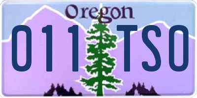 OR license plate 011TSO