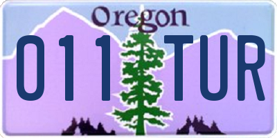 OR license plate 011TUR