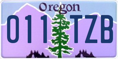 OR license plate 011TZB
