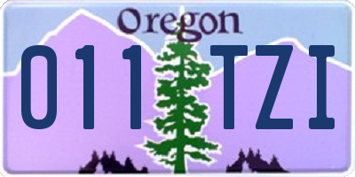 OR license plate 011TZI
