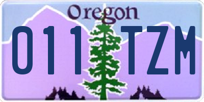 OR license plate 011TZM