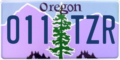 OR license plate 011TZR