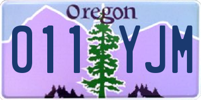 OR license plate 011YJM