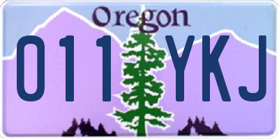 OR license plate 011YKJ