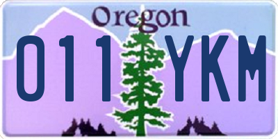 OR license plate 011YKM