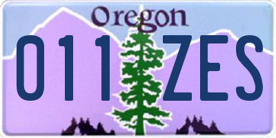 OR license plate 011ZES