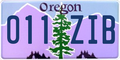 OR license plate 011ZIB