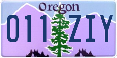 OR license plate 011ZIY
