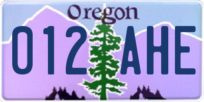 OR license plate 012AHE