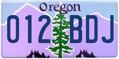 OR license plate 012BDJ