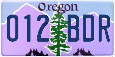 OR license plate 012BDR