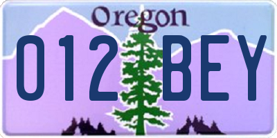 OR license plate 012BEY