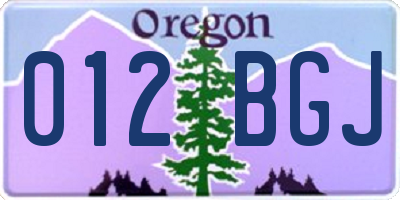 OR license plate 012BGJ