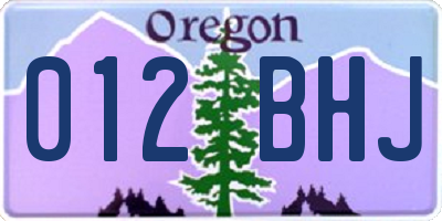 OR license plate 012BHJ