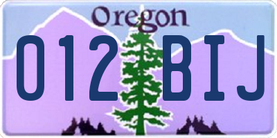OR license plate 012BIJ