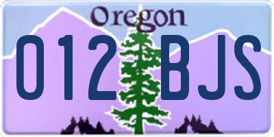 OR license plate 012BJS