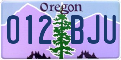 OR license plate 012BJU
