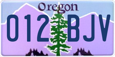 OR license plate 012BJV