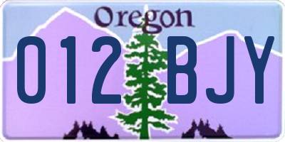 OR license plate 012BJY
