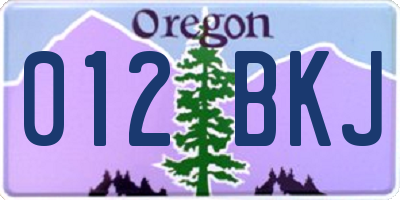 OR license plate 012BKJ