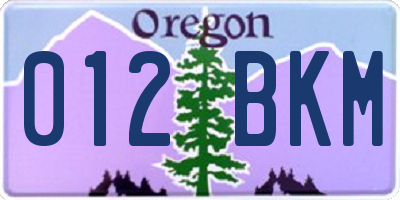 OR license plate 012BKM