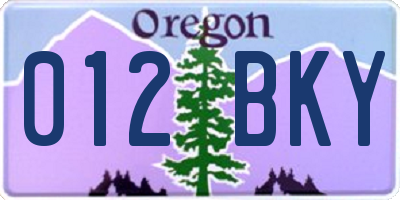 OR license plate 012BKY