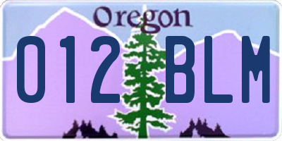 OR license plate 012BLM