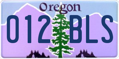 OR license plate 012BLS