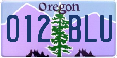 OR license plate 012BLU