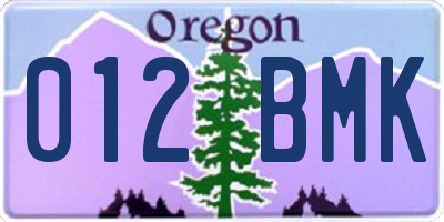 OR license plate 012BMK