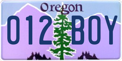 OR license plate 012BOY
