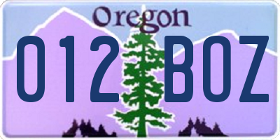 OR license plate 012BOZ