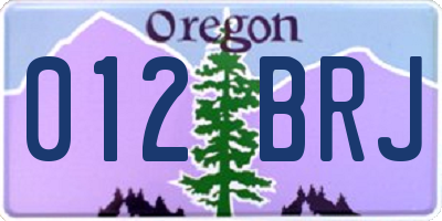 OR license plate 012BRJ