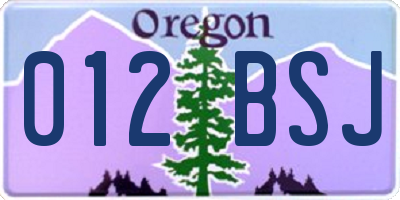 OR license plate 012BSJ