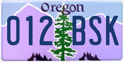 OR license plate 012BSK