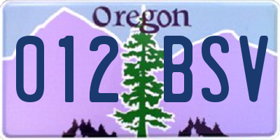 OR license plate 012BSV