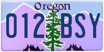 OR license plate 012BSY